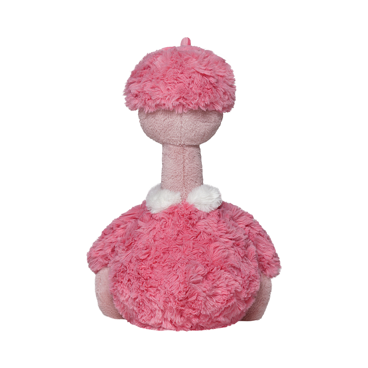 Flamingo Oren