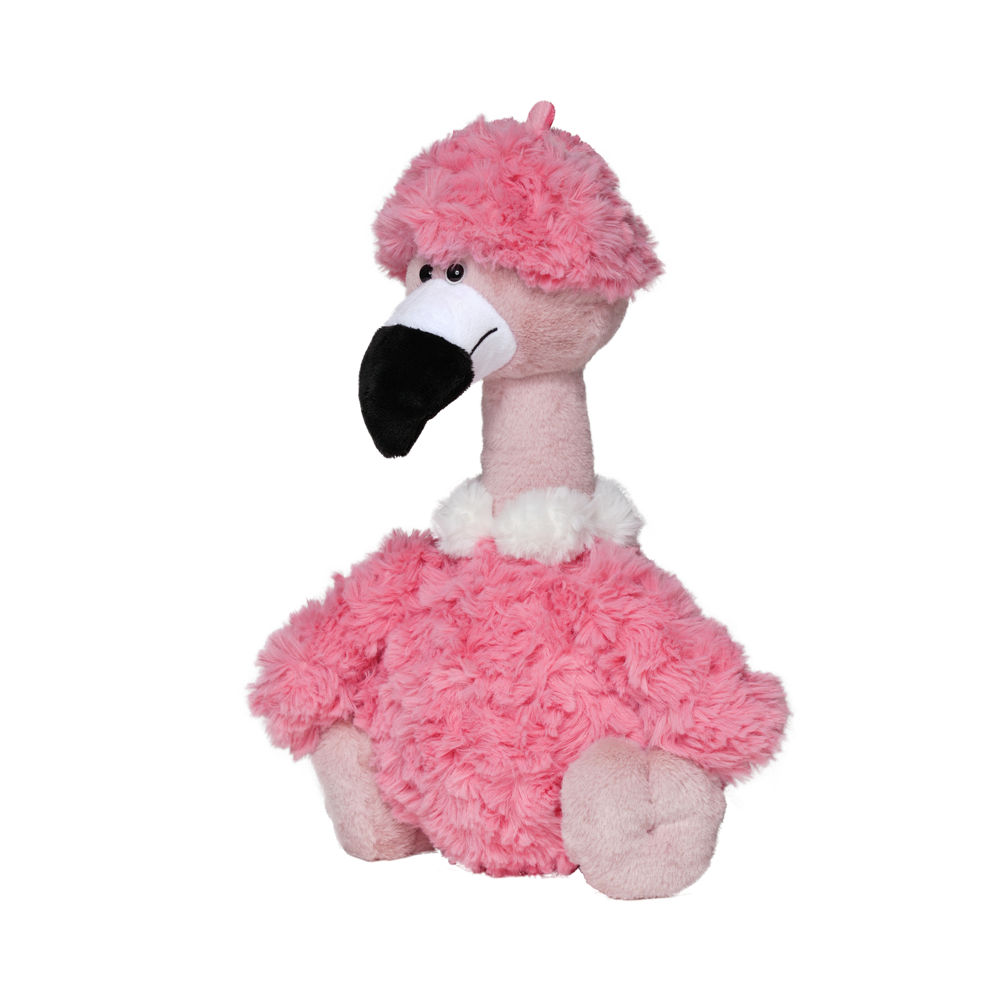 Flamingo Oren